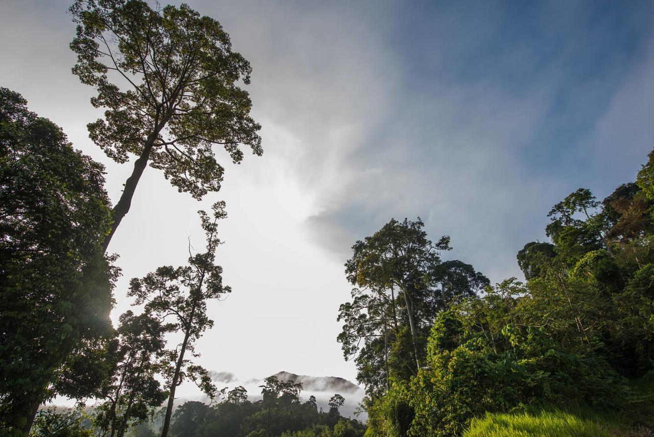 Rest Pause Rainforest Retreat Bentong Exterior foto