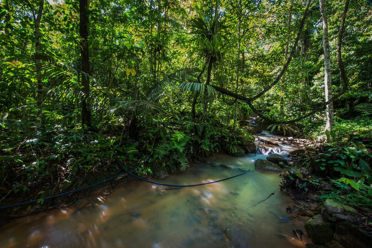 Rest Pause Rainforest Retreat Bentong Exterior foto