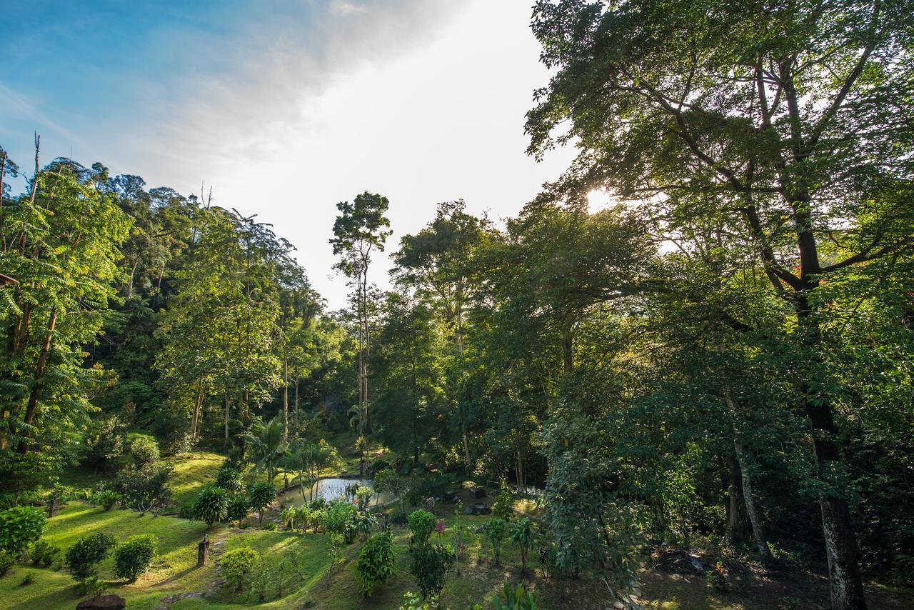 Rest Pause Rainforest Retreat Bentong Exterior foto